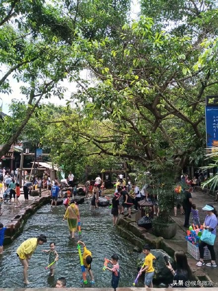 自由行成都,成都黄龙溪古镇自行旅游攻略