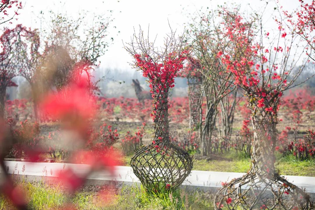 青城山镇：奋楫笃行，臻于至善，深耕青山热土！