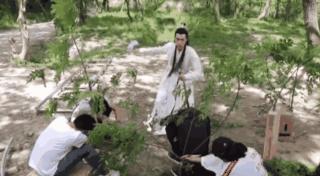 假骑行假徒步犯罪吗,假马骑着马跑