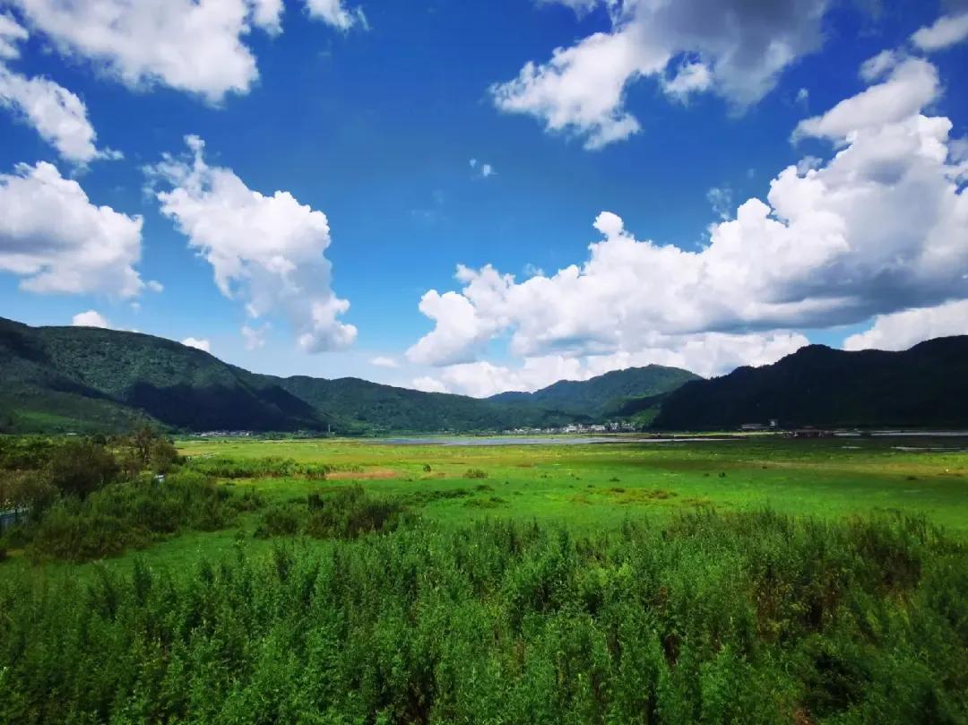 夏天云南最适合避暑的城市,云南既适合避寒又适合避暑的地方
