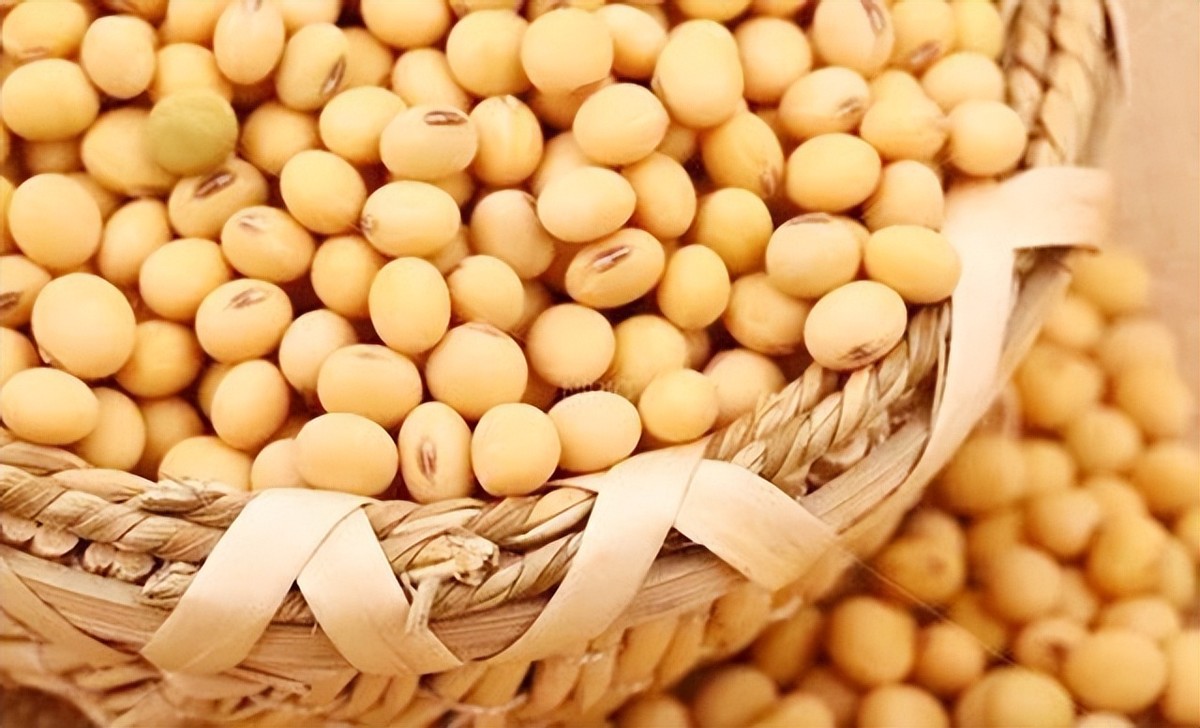 巴西对中国出口大豆问题,巴西大豆对中国出口新政策