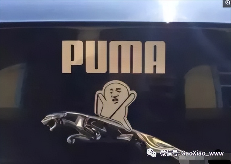 白胶车贴和可移背胶有什么区别,磁性车贴有背胶和没有背胶区别