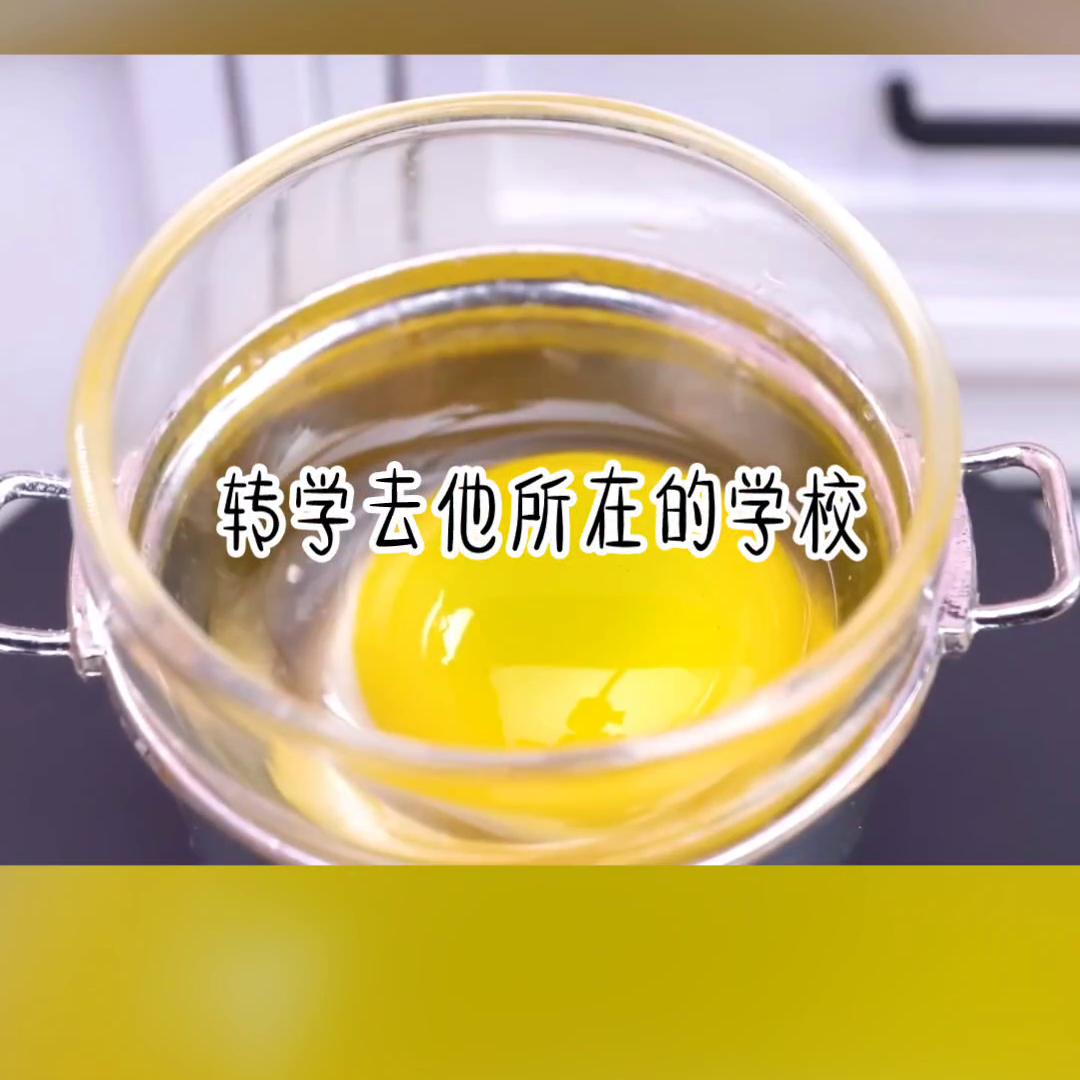 网络小说的法则,网络小说