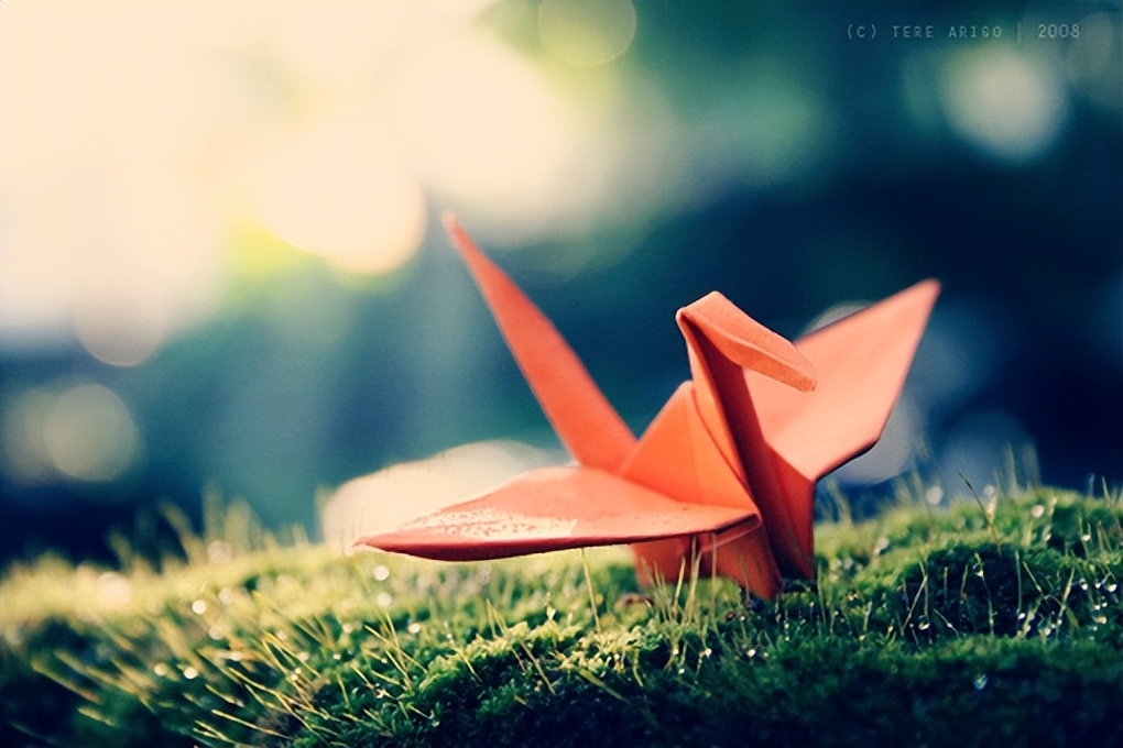 痛到心尖的句子,划过心尖感动的句子