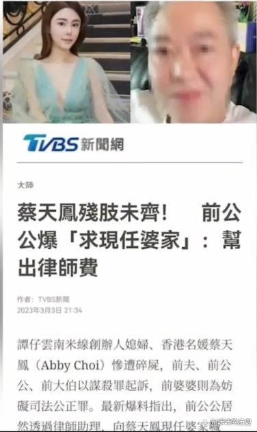 蔡天凤案再抓女嫌犯,与前夫关系败露,不是为豪宅