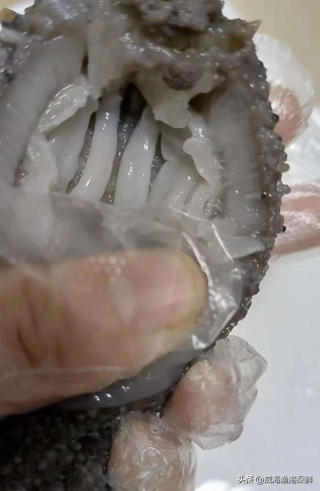 网上海参哪家卖得比较好,网上卖大连海参咋样