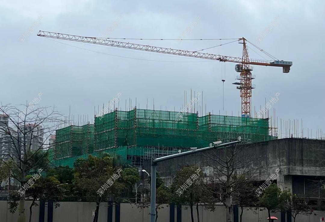 榫欏崕涔版埧鎸囧崡杩欎簺妤肩洏鍊煎緱鍏虫敞,娣卞湷榫欏崕涔版埧韪╅浄