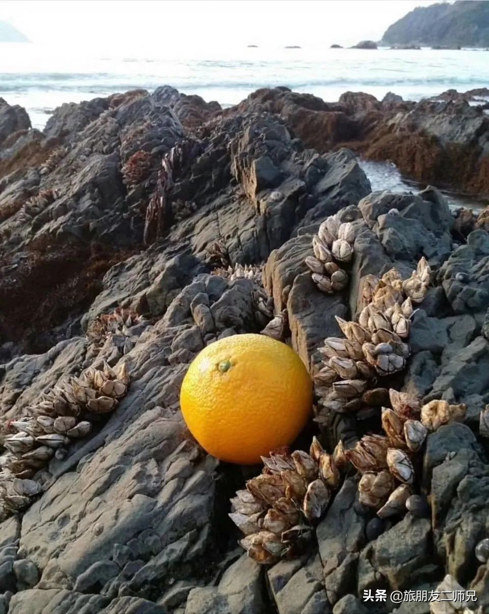 台山三日游自由行攻略,广州到江门下川岛旅游攻略
