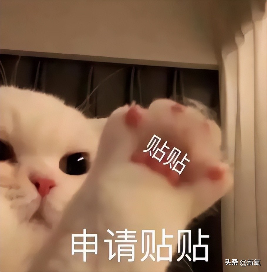 足球球星最美太太团盘点,世界杯球星太太团韩国