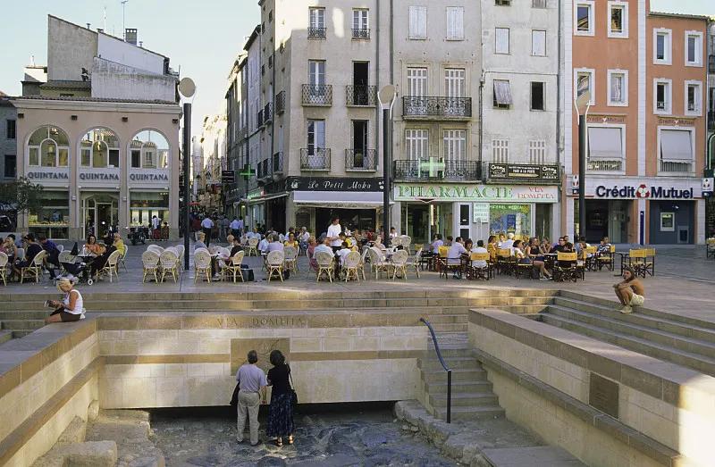 什么宠物对纯素食者最好,好养且可以食用的宠物有哪些