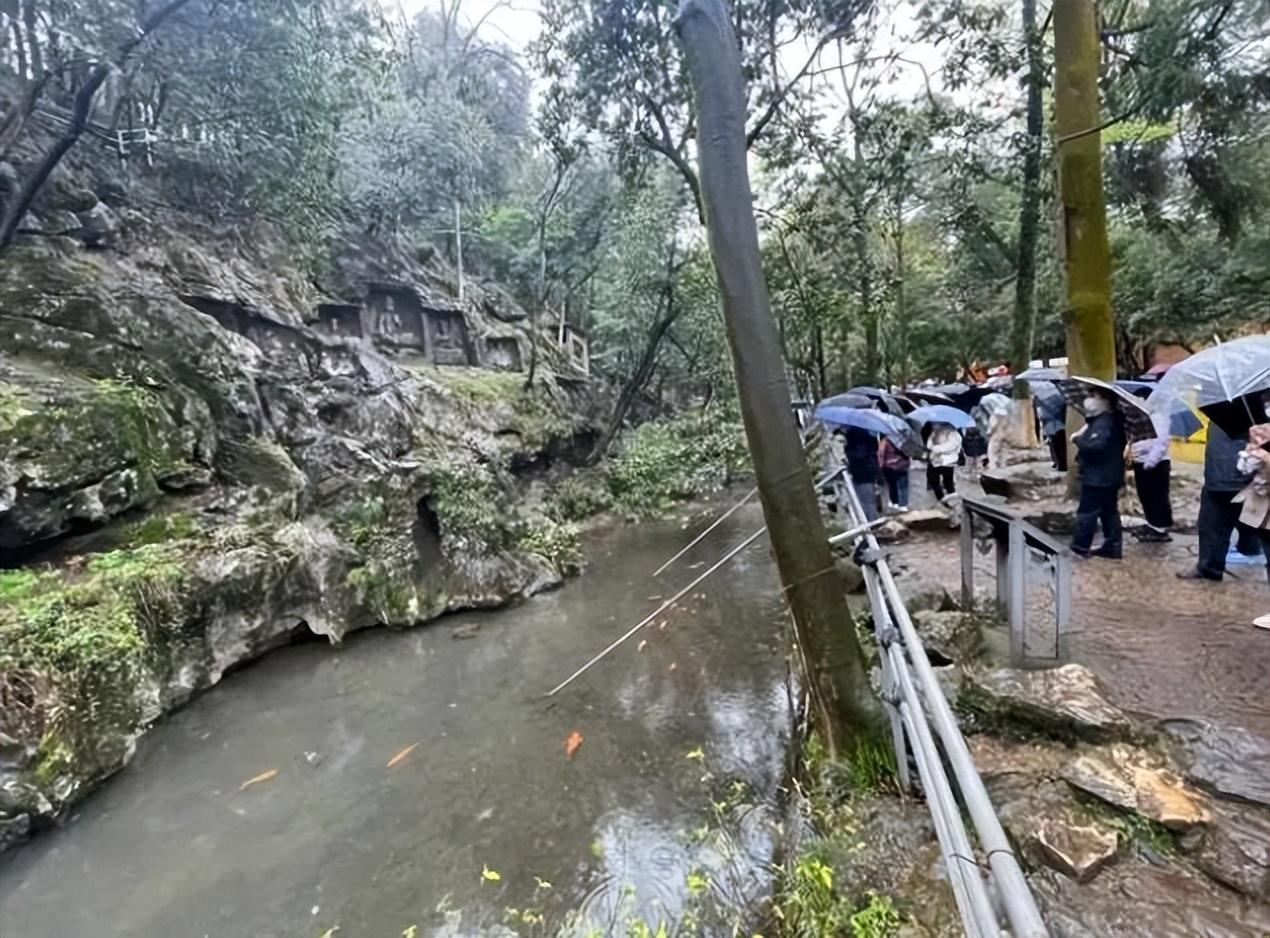 灵隐寺旁现大量乌龟死亡,投毒杭州事件