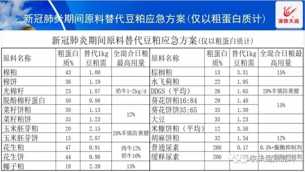 豆粕暴涨严重影响养猪业,豆粕疯涨能用什么替代