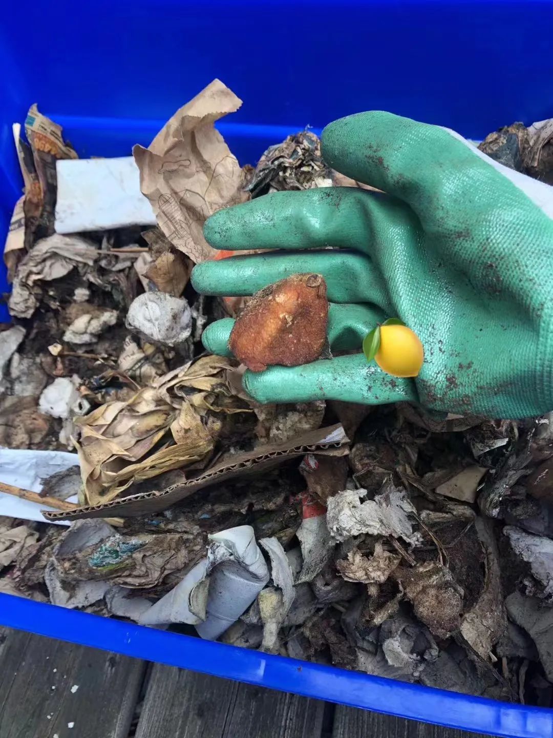 98年女孩过“极简生活”上瘾！5年不用卫生巾，2年不买卫生纸？