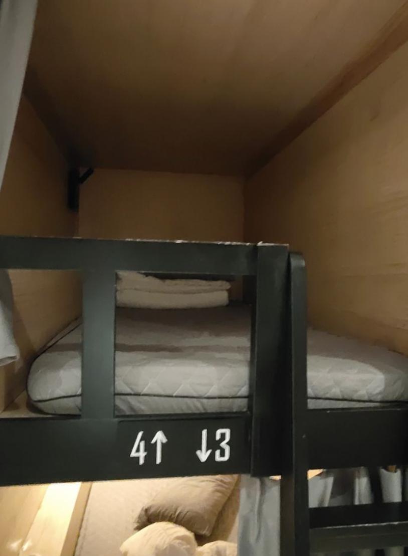 上海青旅挤满了年轻人,上海青旅奋斗的人们