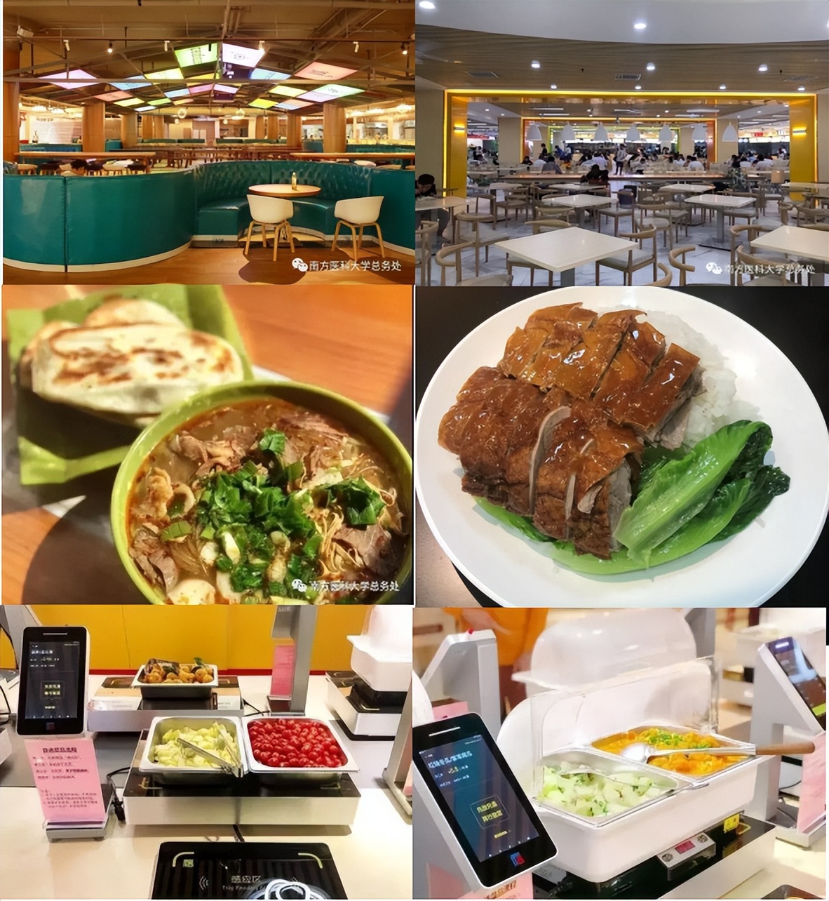 心动不止一面！为什么选择南方医科大学，“十大报考理由”助你启程一流！