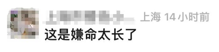 上海蝙蝠侠贴地飞行,上海高架蝙蝠侠