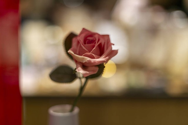 想要幸福的男人如何向女人表白,男人怎么向女的求婚