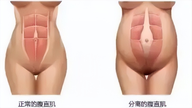 vivi接受采访为什么选择刘畊宏,vivi评价刘畊宏