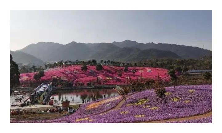 浙江美丽乡村旅游视频,浙江考察美丽乡村建设纪实