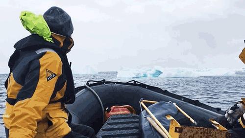 我在南极养企鹅,我在南极的日子