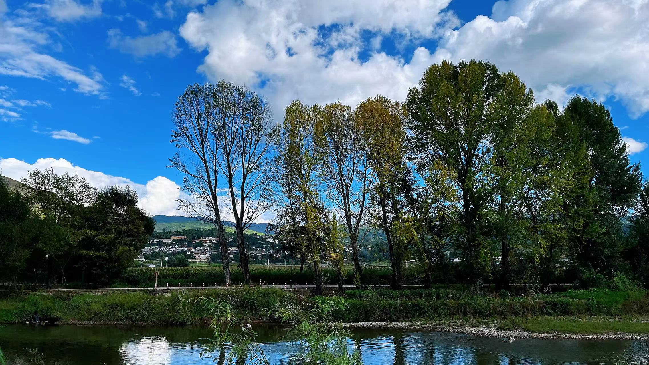 去大理哪个古镇最好看最实惠,去了八次云南攻略