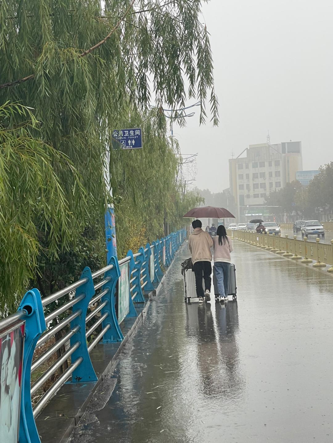董董骑行山东,山东菏泽巨野县怎么样