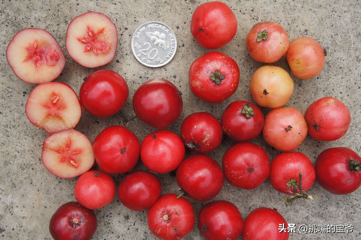 马来西亚特别推荐的水果,华人在马来西亚所占的比例