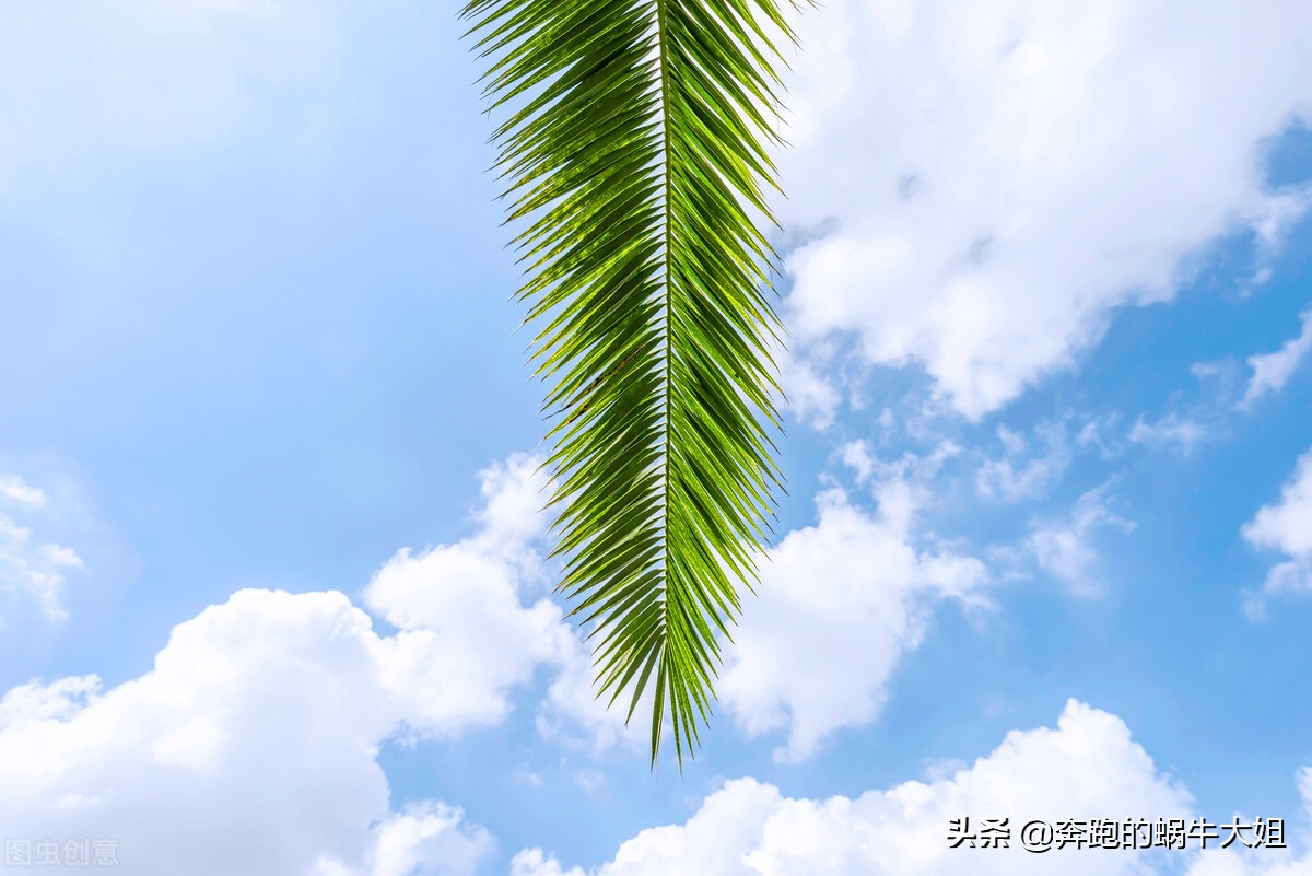 人性的弱点第二章全文,人性的弱点第二章精华