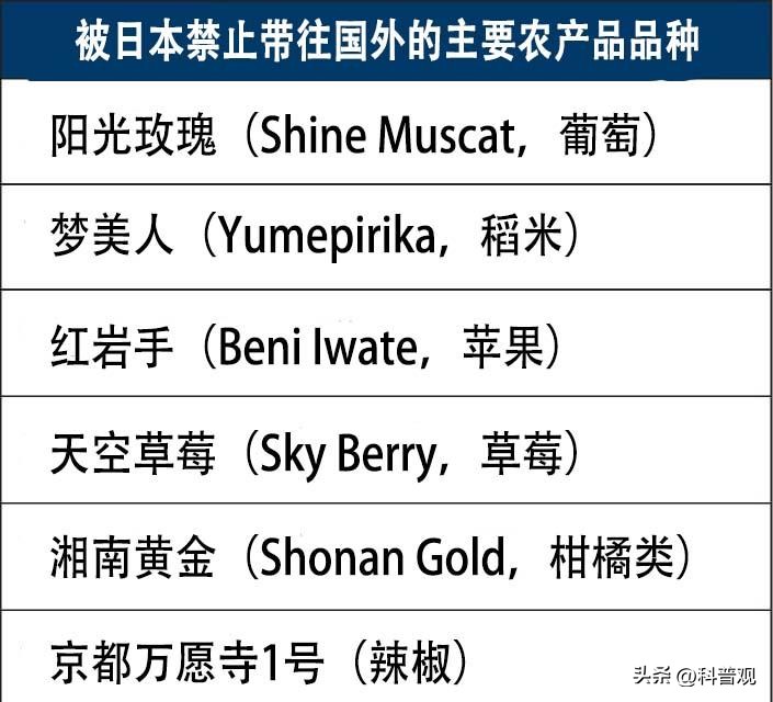 日本垄断中国市场百分之多少,打破西兰花种子垄断的原因