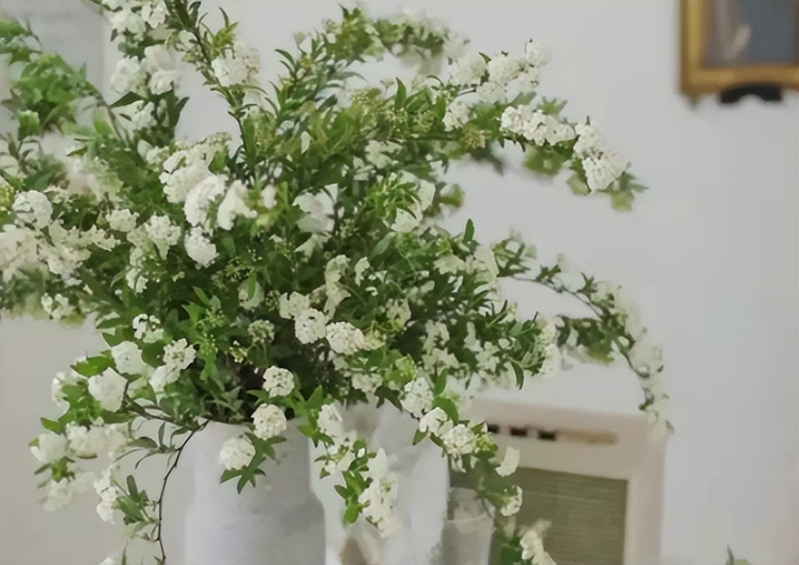 新手摆摊卖花攻略：低成本的网上鲜花批发渠道，一扎起发！