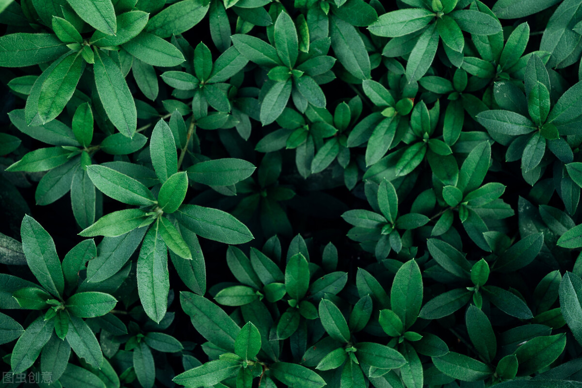 我在职场遇到不公平的事情怎么办,我在面试中遇见的奇葩事