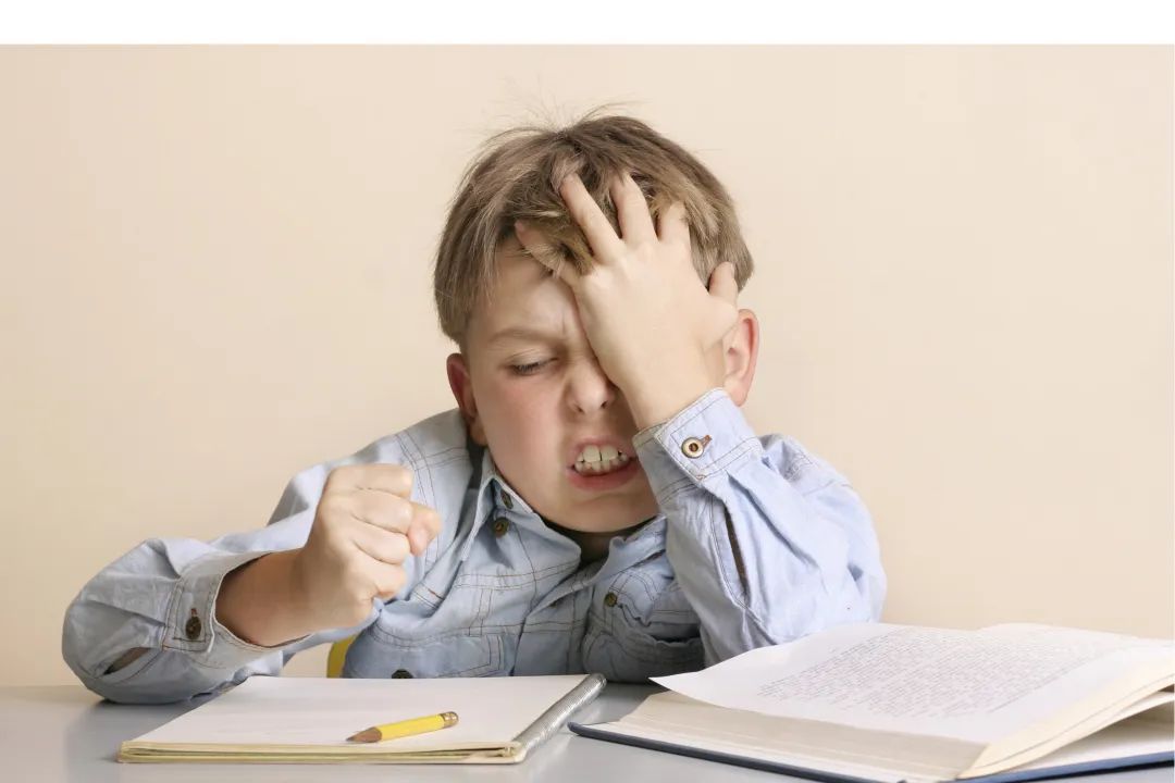 no.是number的缩写吗,number为何缩写成no