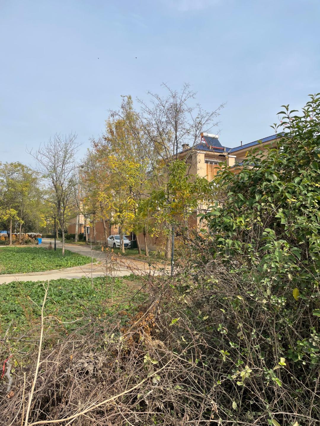 环渤海湾骑行记,环山东骑行日记青岛平度市