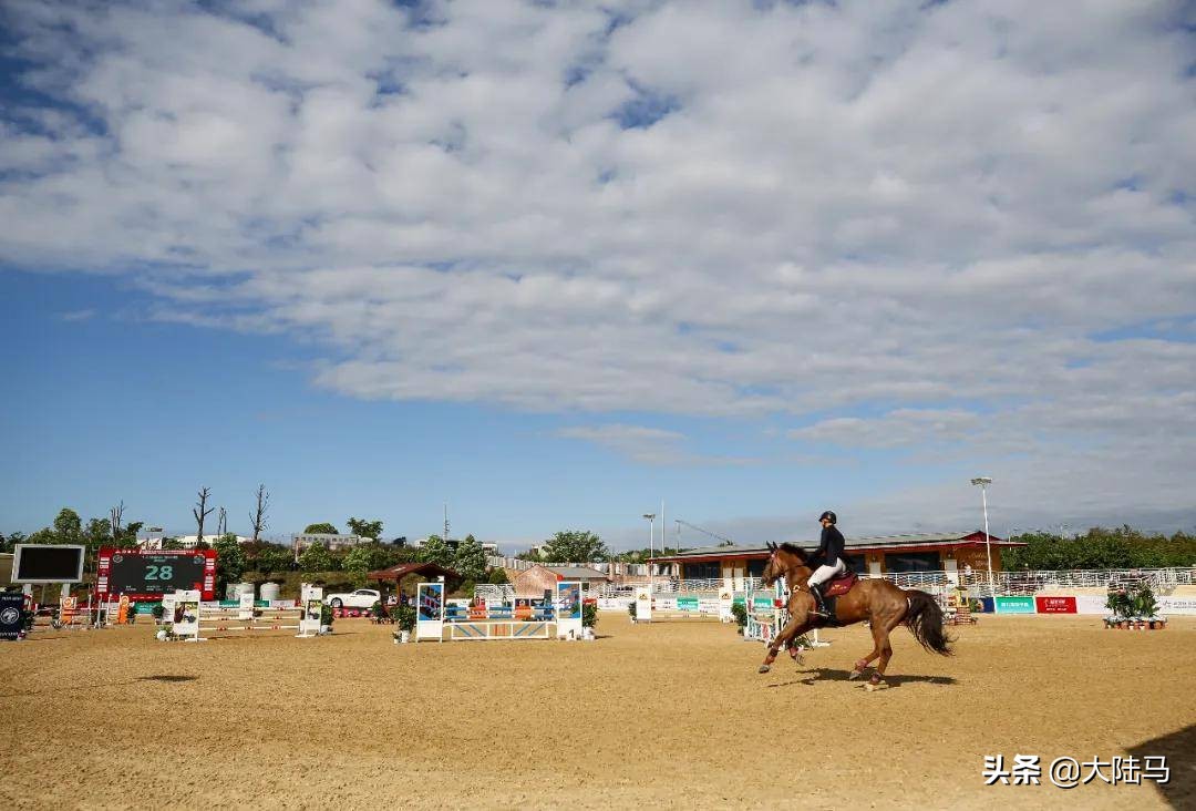 威斯恩国际马术设备,威斯恩马术设备