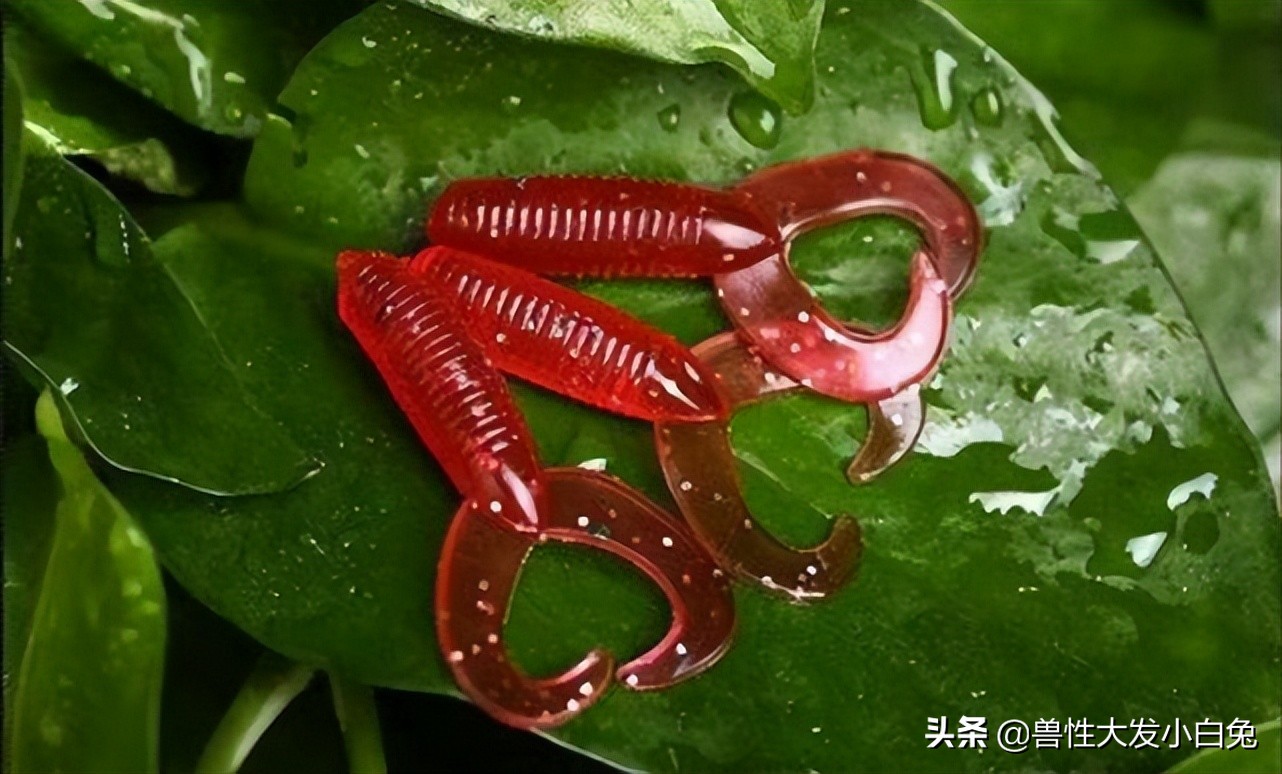 路亚饵的介绍大全,软饵路亚翘嘴