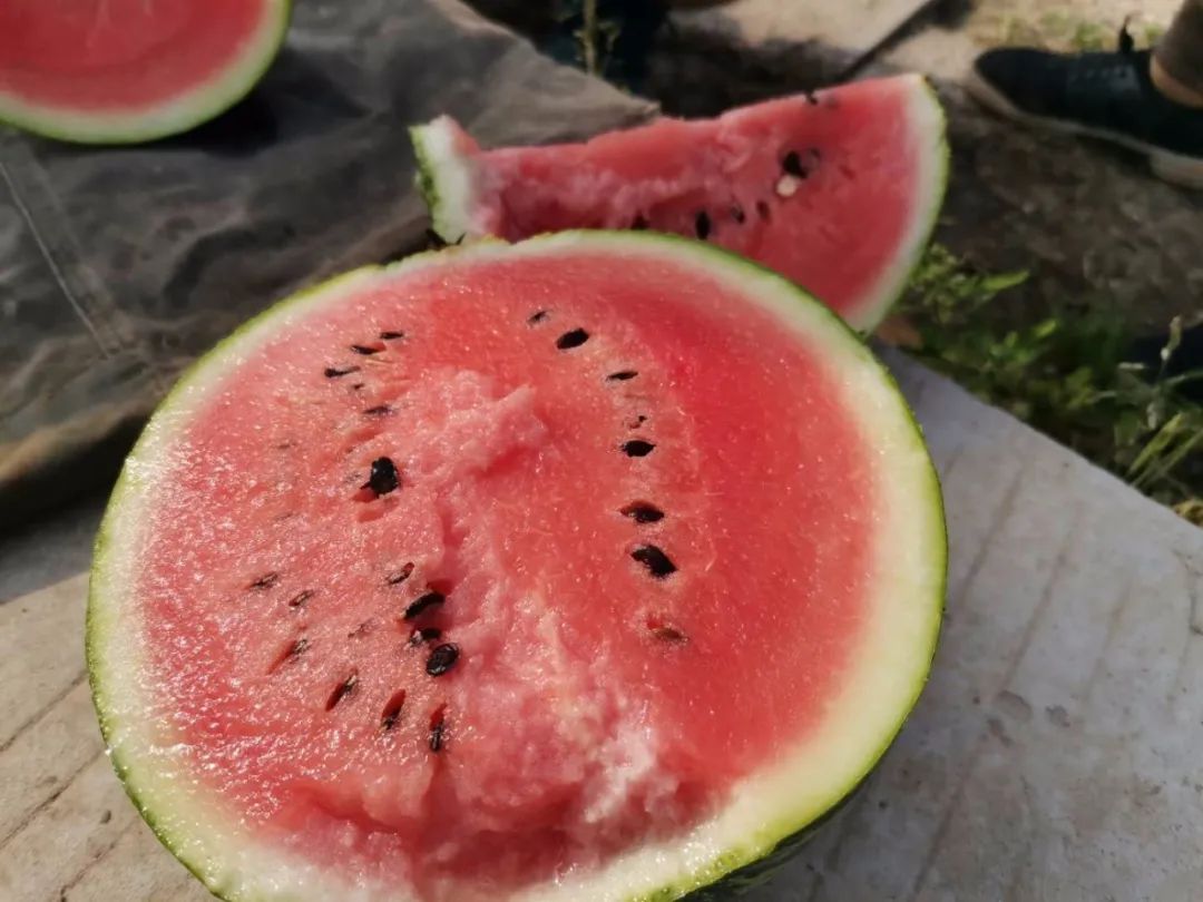 今年夏天最好吃的西瓜,10种最好吃的西瓜