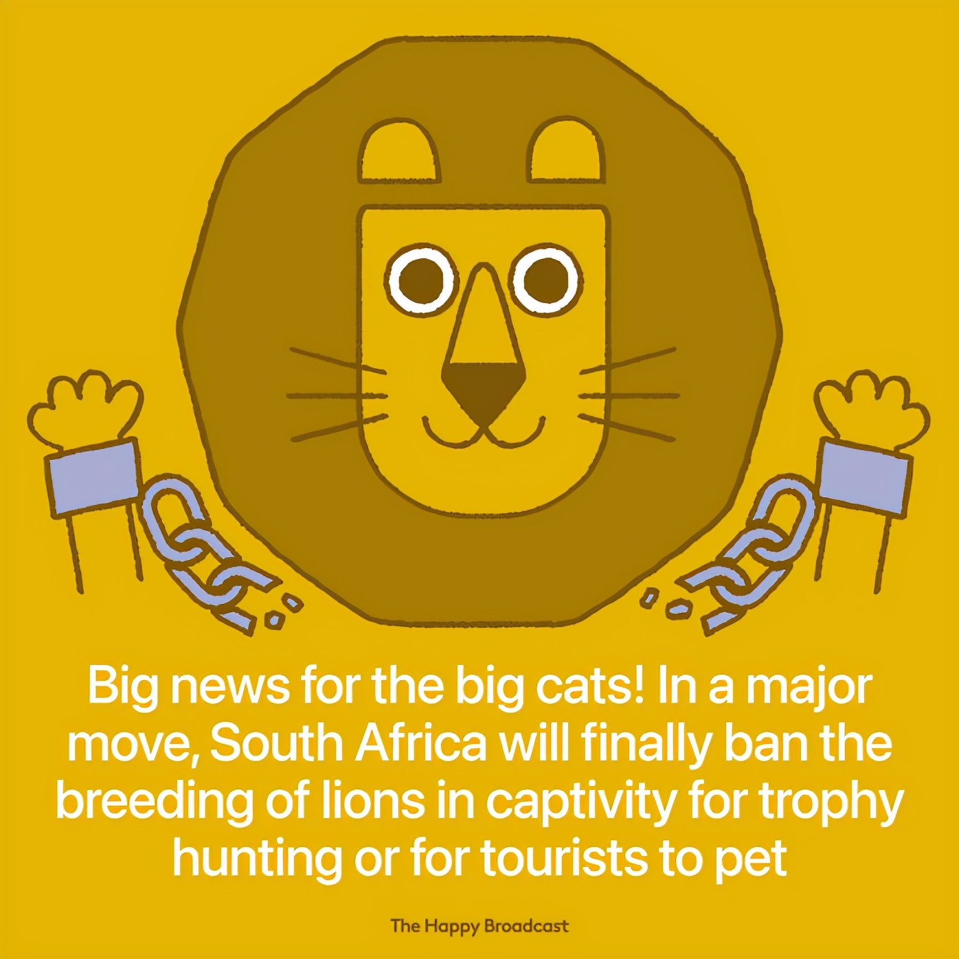 2021年世界如此沉重！可还是有40件美好的事暖如春阳