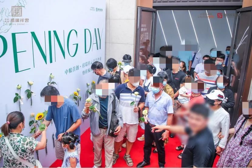 新场中粮首创禧瑞祥云叠墅108平,上海中粮首创禧瑞祥云租房户型图