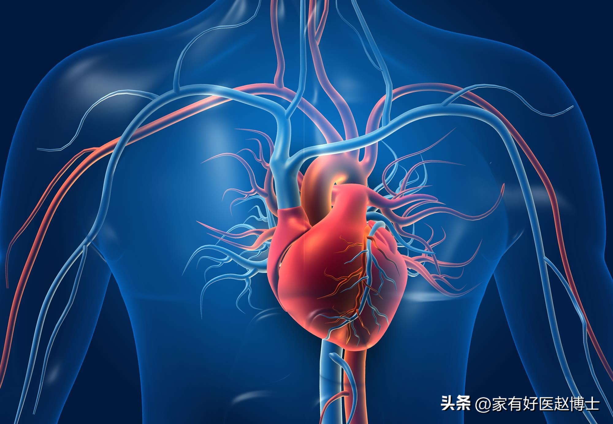 2024最新血脂管理共识,甘油三酯5.29怎么降脂