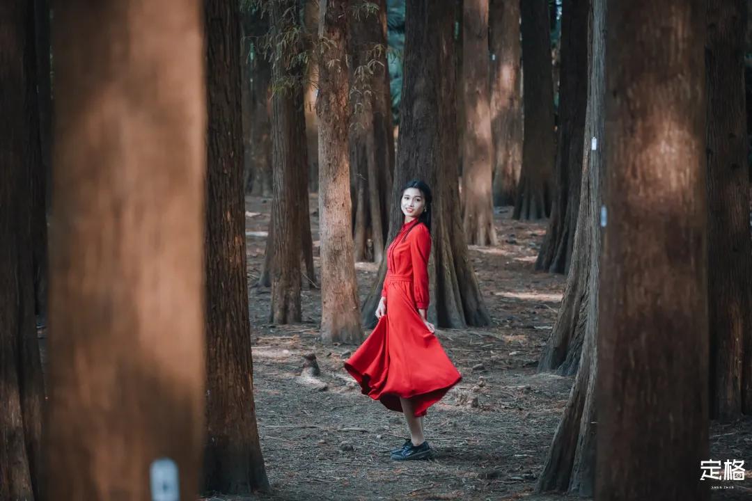 娲箹鍏洯娣卞湷,娲箹鍏洯鑽疯姳