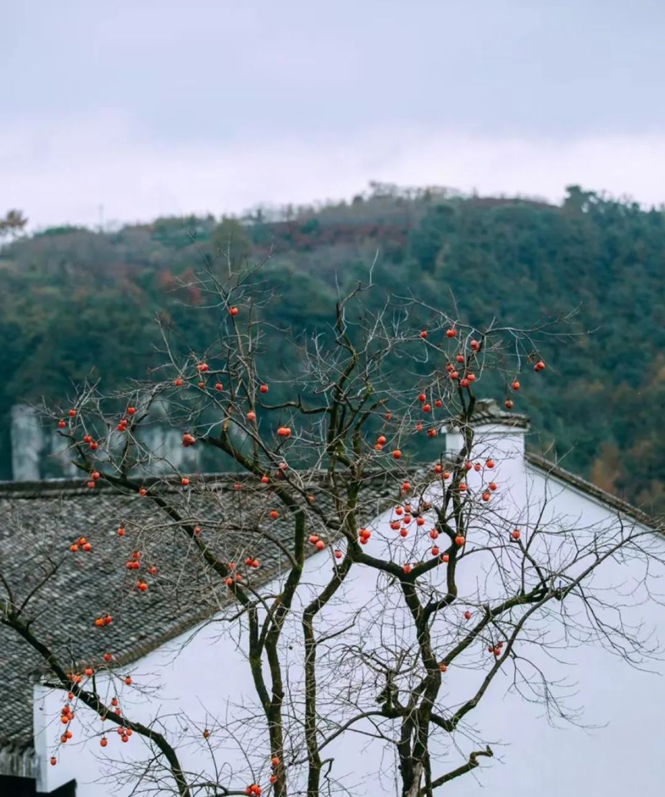 9月哪个地方适合旅居,三月旅居城市推荐