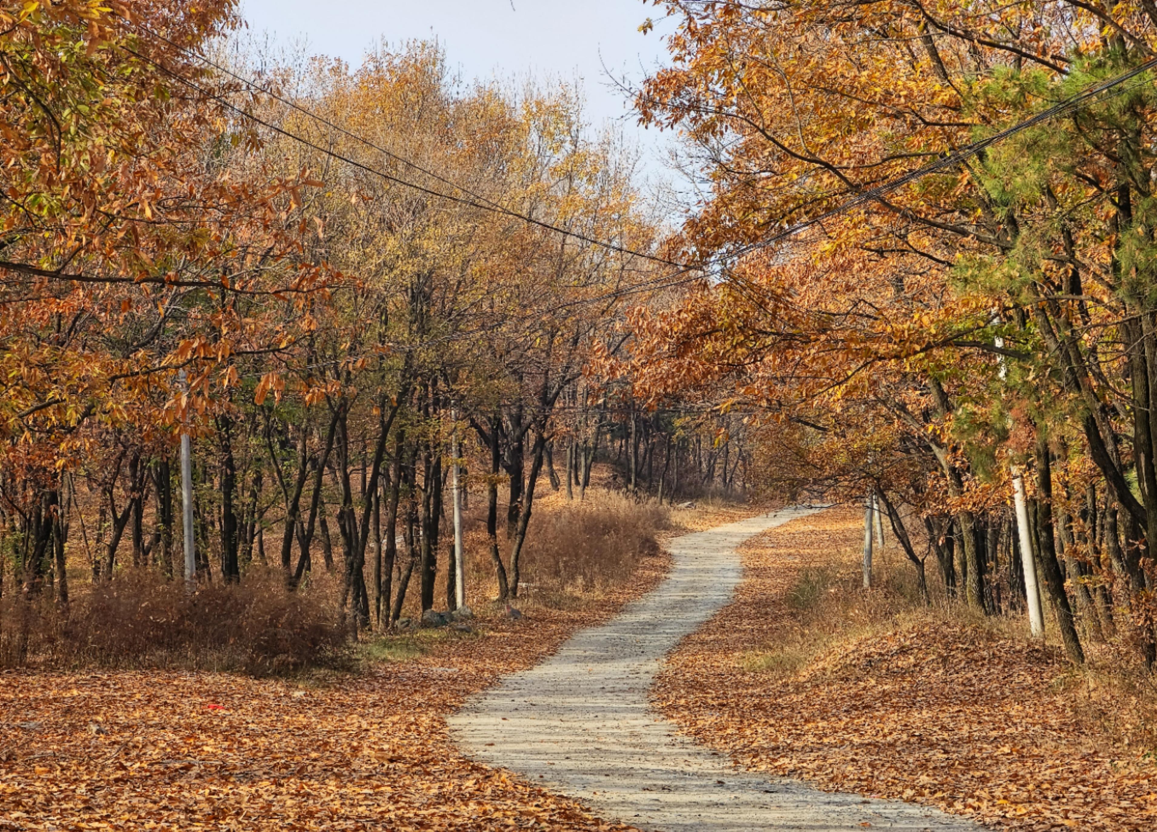 大数据预测各省感染高峰,各地感染峰值数据预测在哪里看