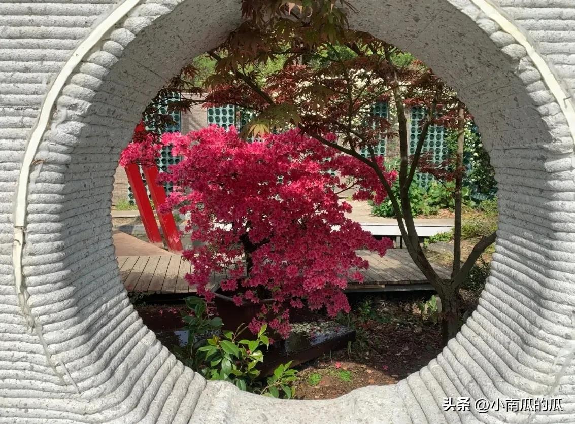 苏州休闲娱乐的景点,苏州娱乐游玩项目