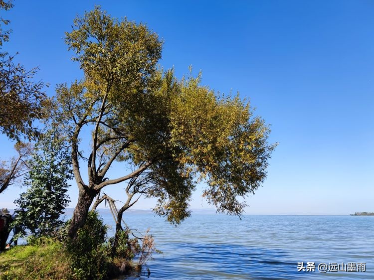 云南昆明滇池小渔村展新颜,滇池边的小渔村