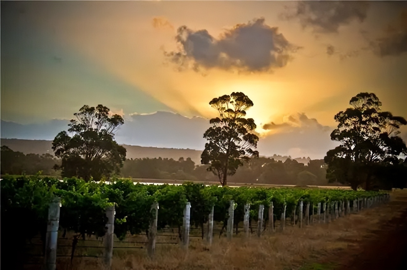 澳大利亚cacavalley葡萄酒,澳大利亚葡萄酒产区图