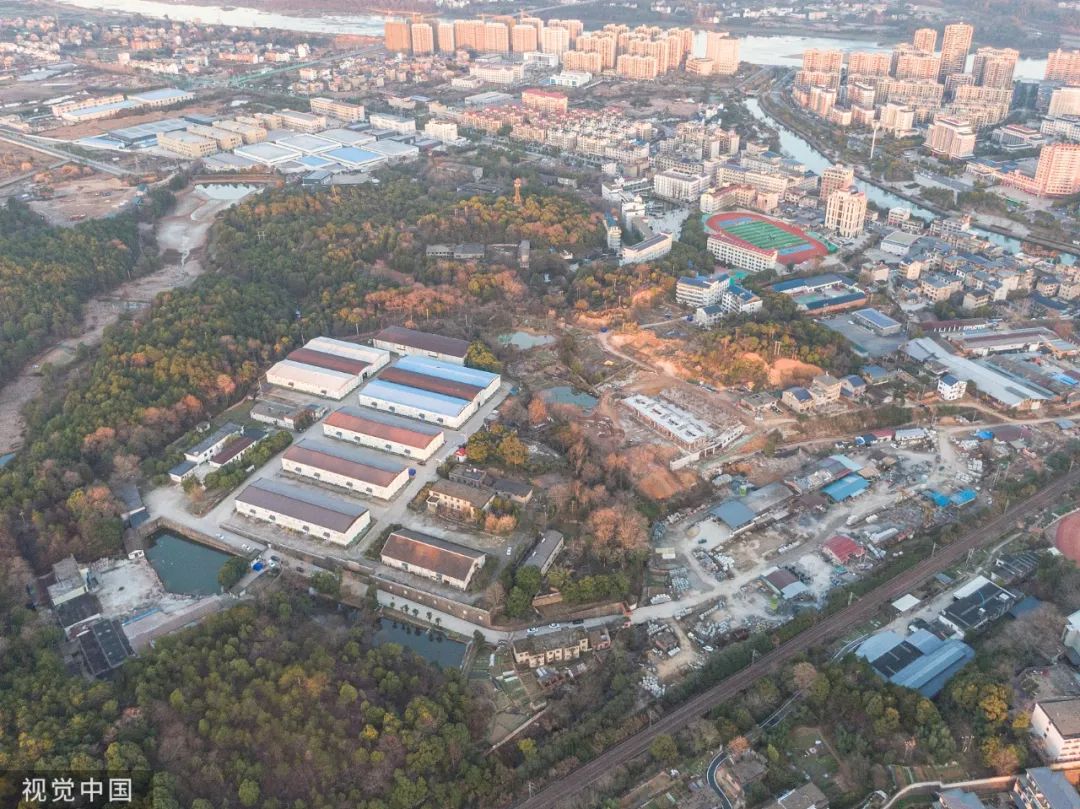 程浩胡鑫宇,胡鑫宇真相如何