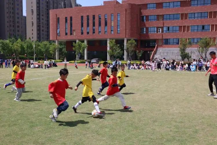 第十一届小学校园杯足球赛,校园足球点燃绿茵