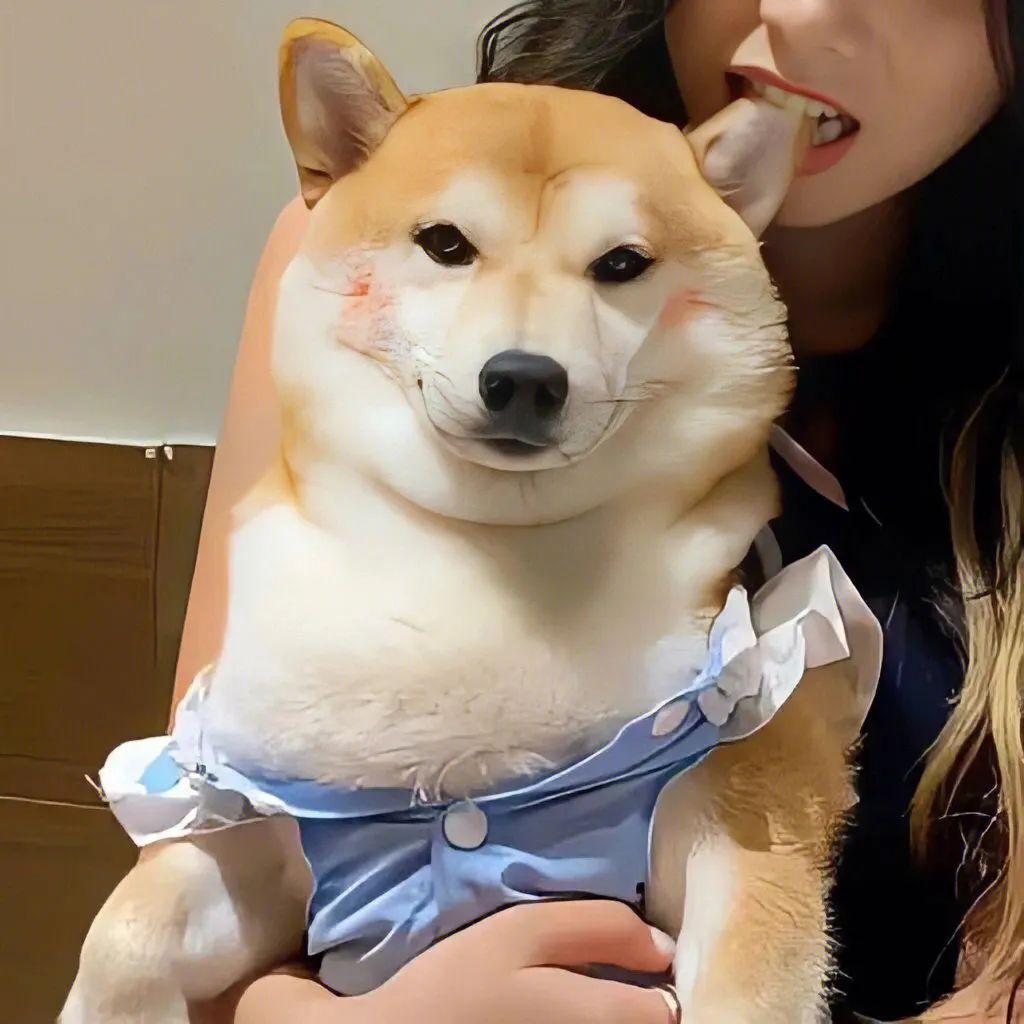 好看的情侣头像单个,好看的情侣头像大全超清