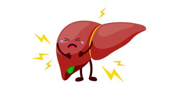 绞肉机会伤肝吗,有医生说快把绞肉机丢掉为什么