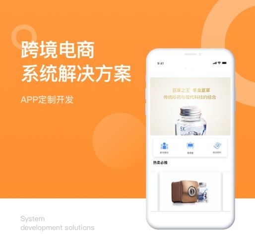 跨境电商erp开发系统 (跨境电商系统开发制作)